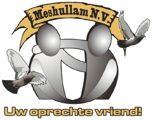 Meshullam NV
